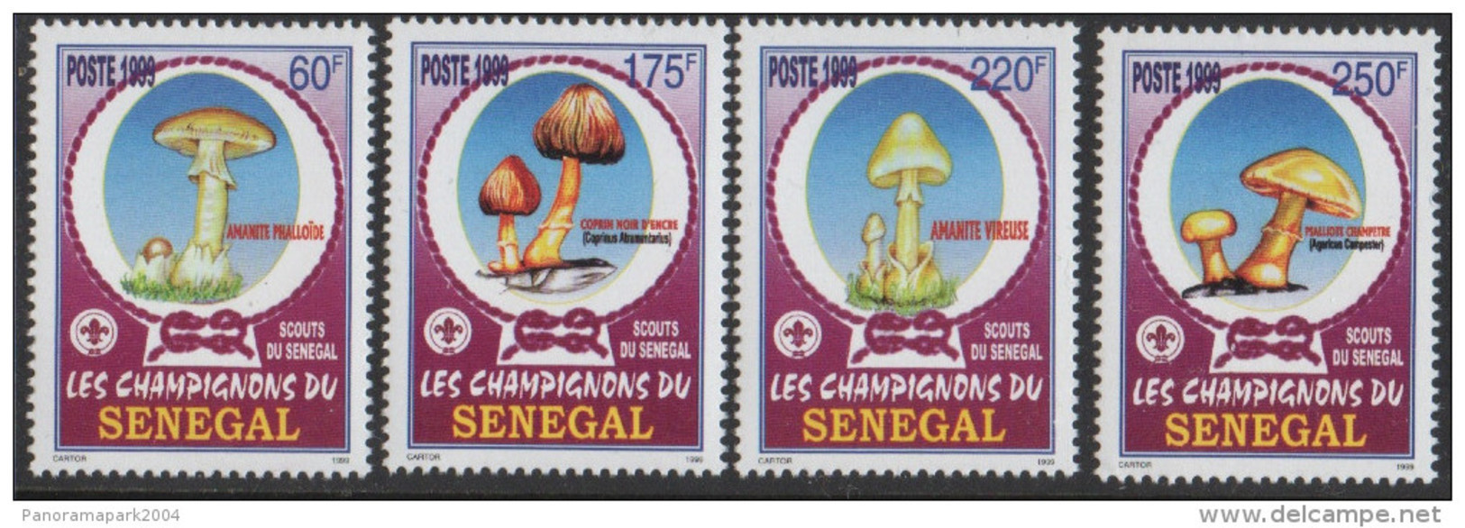 Sénégal 1999 Champignons Pilze Mushrooms Mi. 1797 - 1800 4 Val. RARE MNH - Senegal (1960-...)