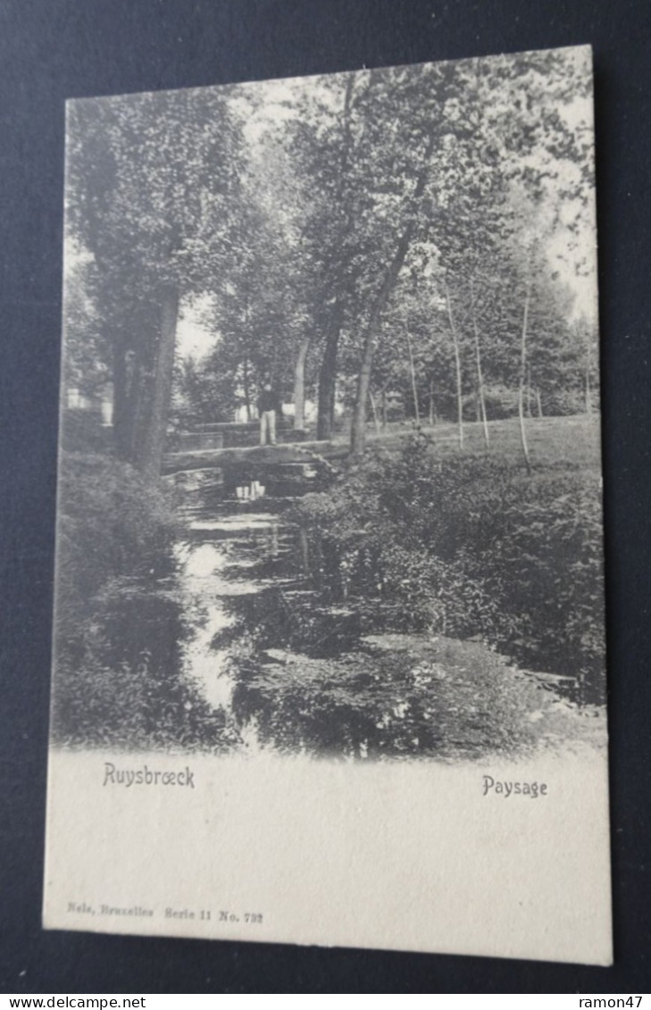 Ruysbroeck - Paysage - Nels, Bruxelles, Serie 11, N° 732 - Sint-Pieters-Leeuw