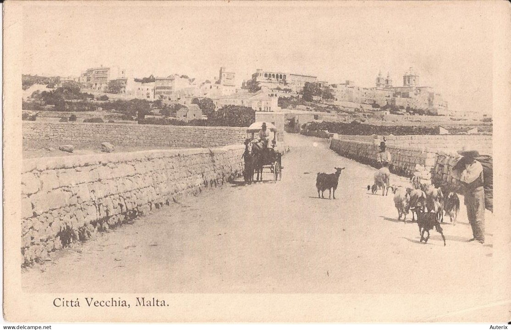 Malte - Citta Vecchia Milkman Milkseller Malta Goat - Malta