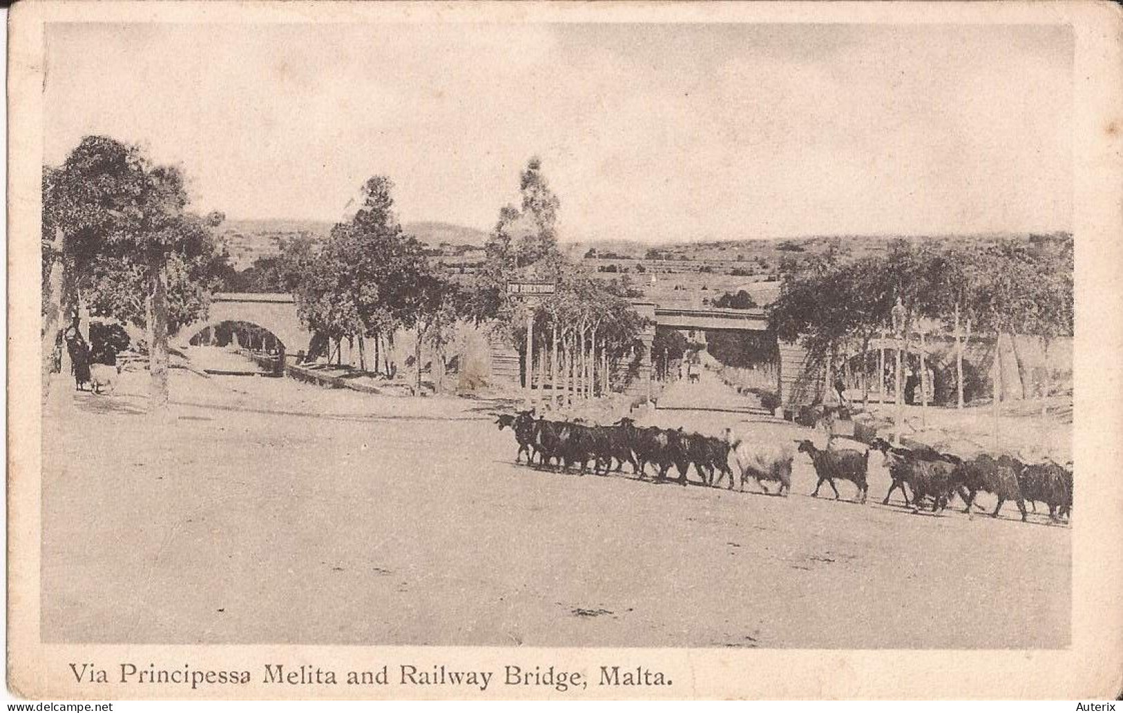 Malte - Via Principessa Melita And Railway Bridge Milkseller Milkman Malta Goat - Malte