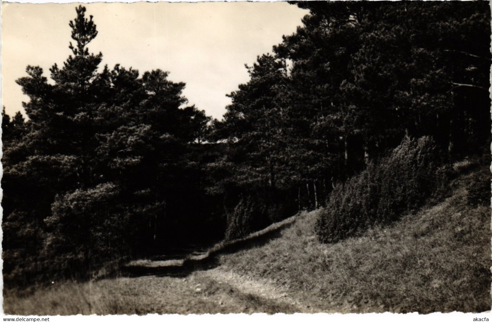 CPA Boissy Un Chemin (1349917) - Boissy-la-Rivière