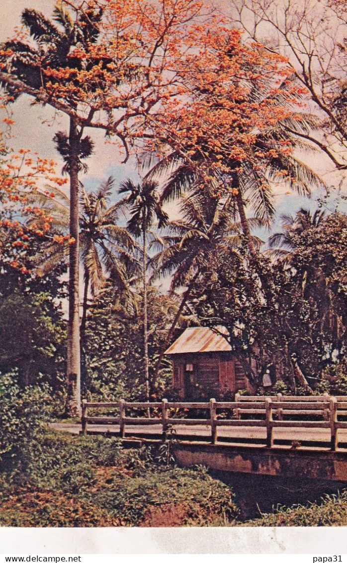 TRINIDAD - Trinidad