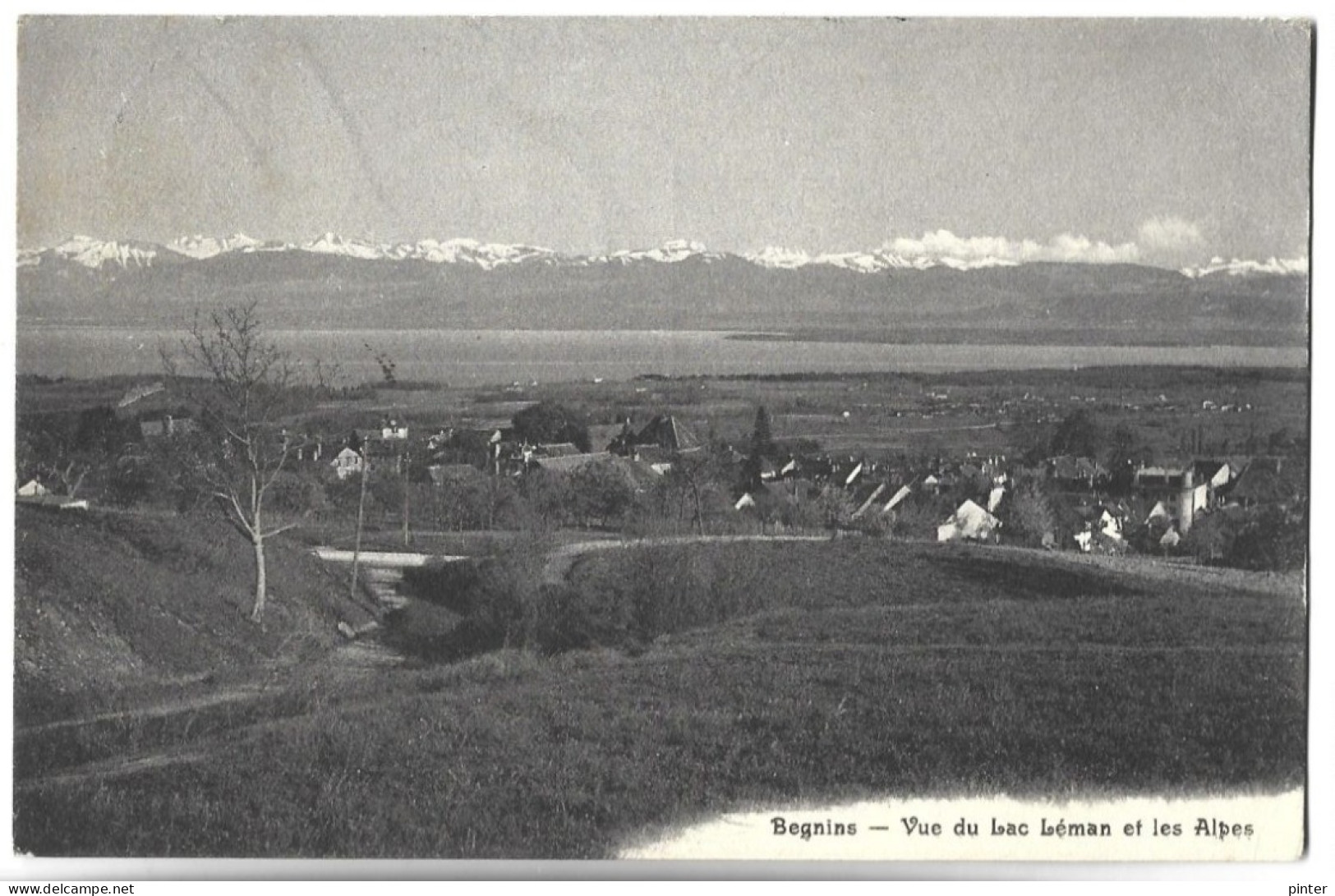 SUISSE - BEGNINS - Vue Du Lac Léman Et Les Alpes - Begnins