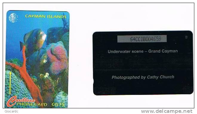 ISOLE CAYMAN     -  CABLE & WIRELESS  (GPT) - 1996 UNDERWATER SCENE CODE 64CCIB  -  USED  -  RIF. 1033 - Fische