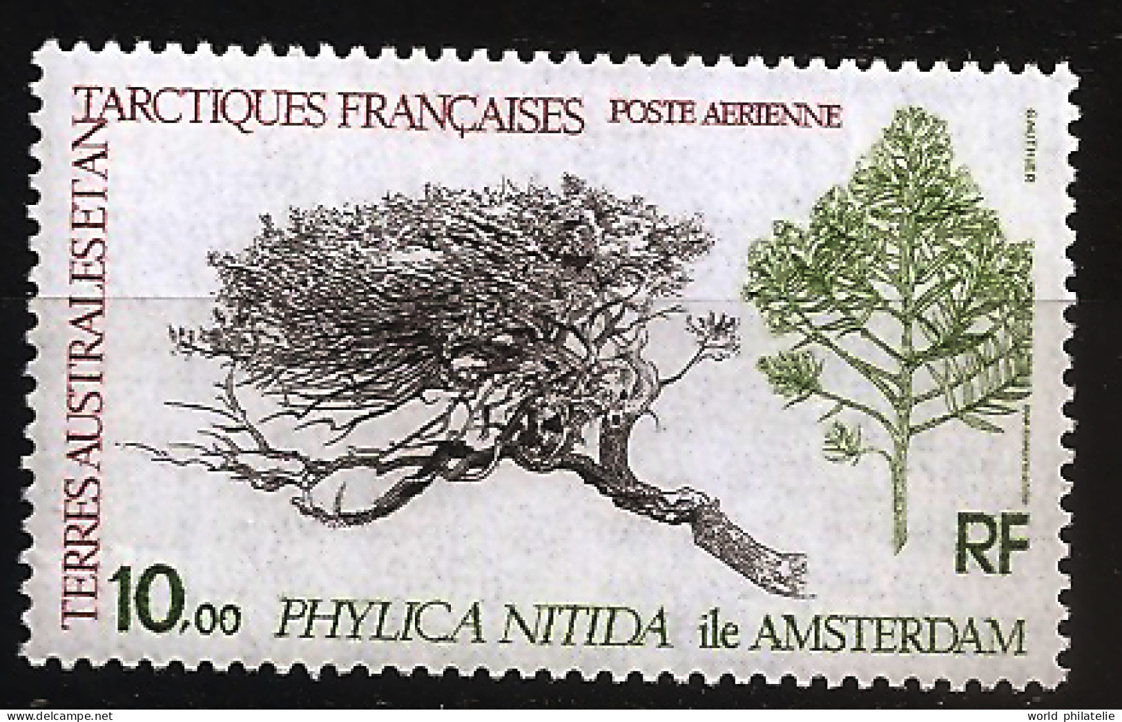 TAAF Terres Australes 1979 N° PA 60 ** Botanique, Phylica Nitida, Arbre, Île Amsterdam, Ambaville Bâtard Phylica Arborea - Neufs