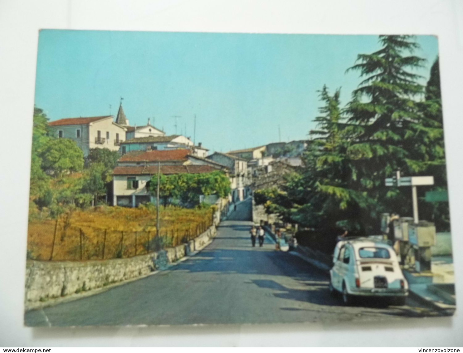 Cartolina Viaggiata "FORLI DEL SANNIO Via Ulrico Tonti" 1978 - Isernia