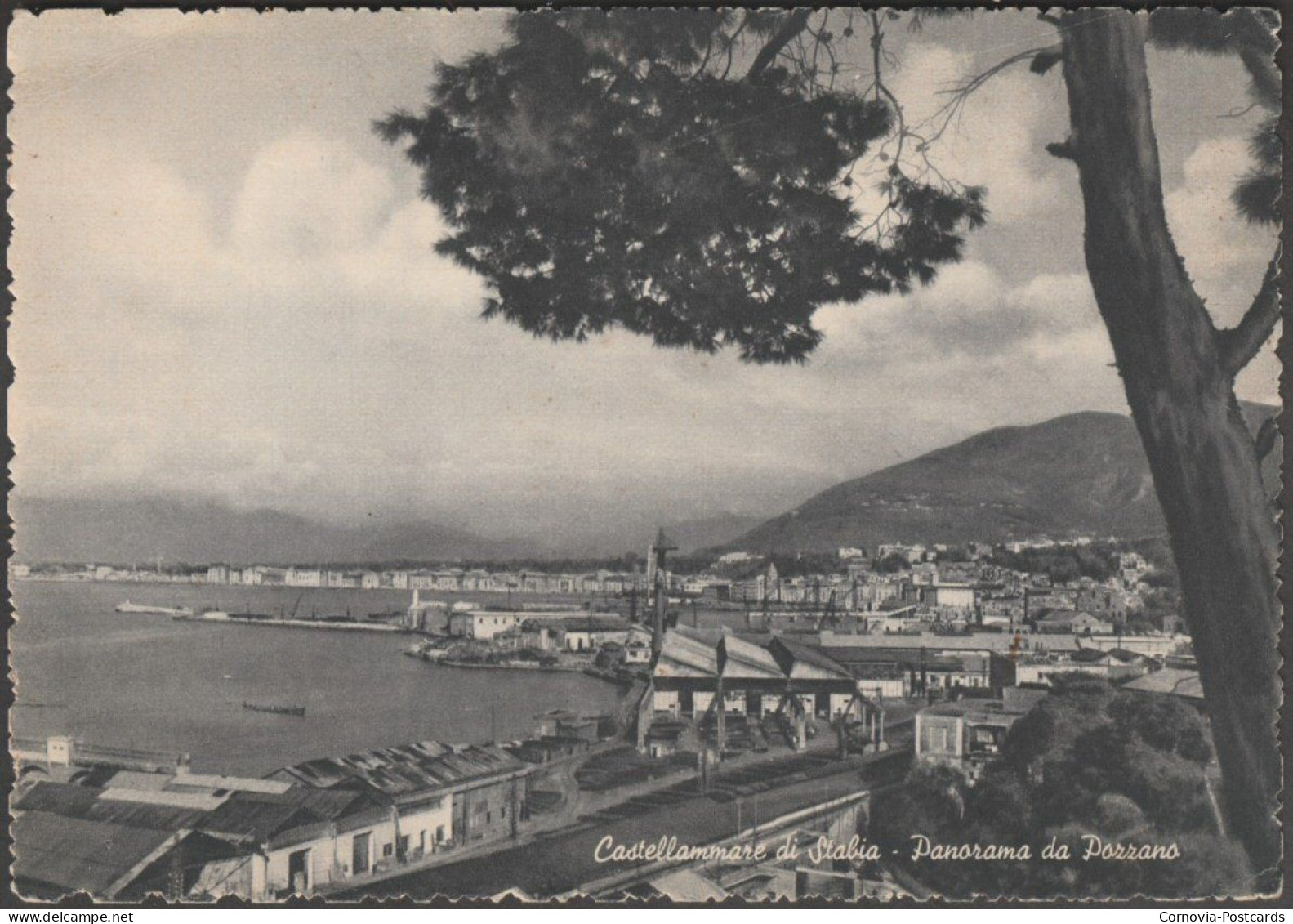 Panorama Da Pozzano, Castellammare Di Stabia, C.1930 - Renza Cartolina - Castellammare Di Stabia