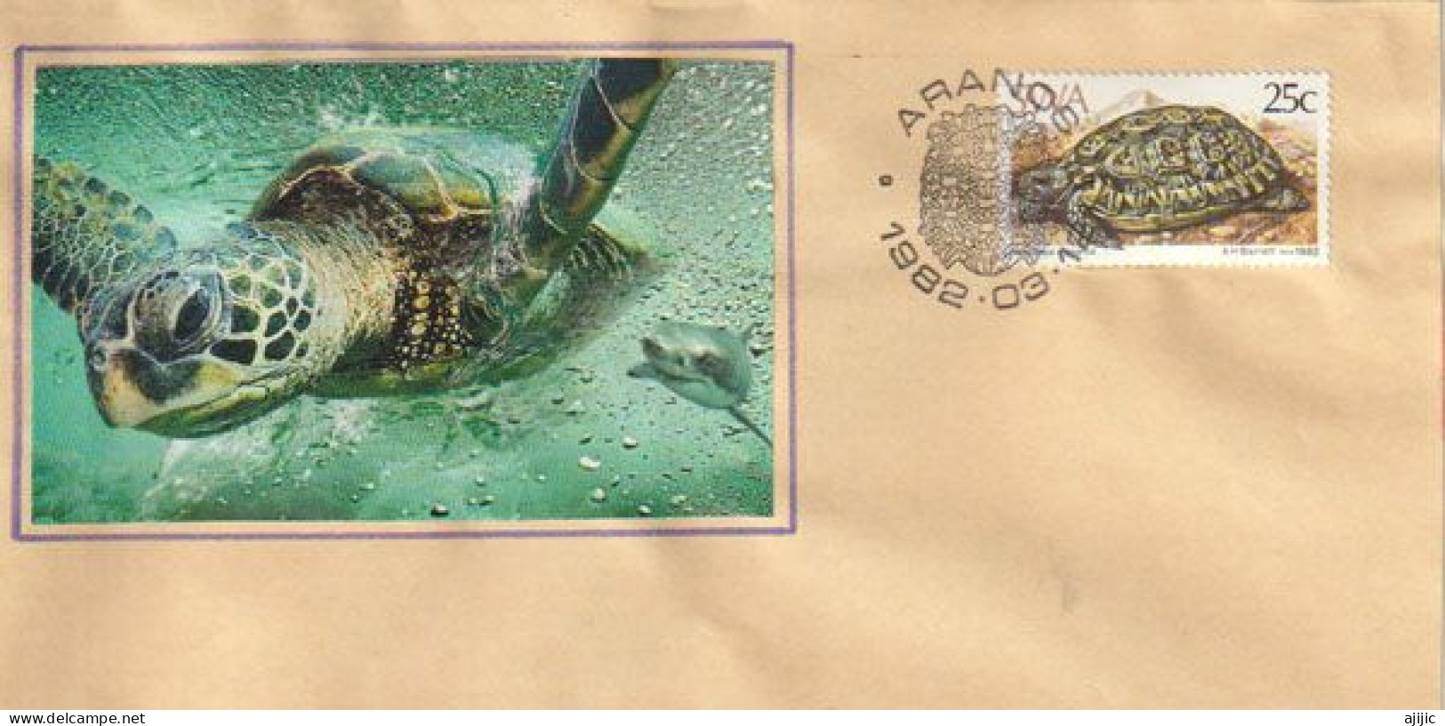 Let's Save The Turtles. Stamp " Speckled Tortoise" (tortue Mouchetée) Of Namibia, Postmark Of Aranos. Namibia - Lettres & Documents