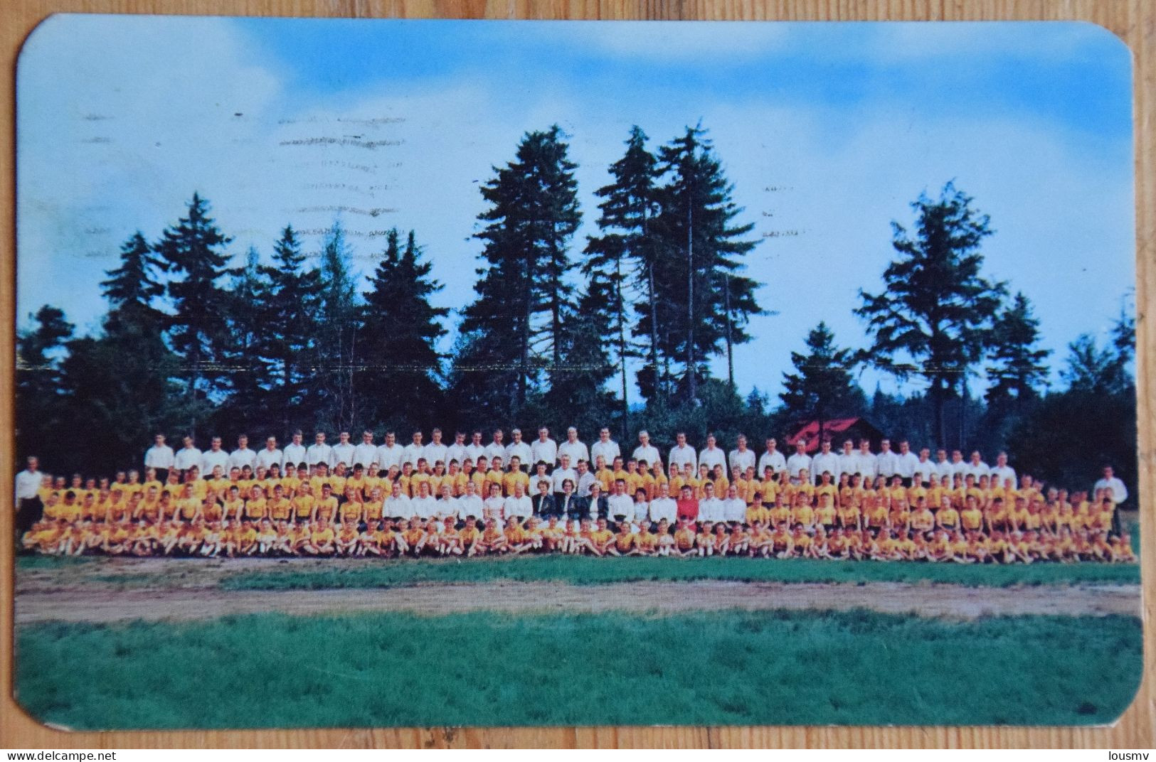 Old Forge , New York - Adirondack Woodcraft Camps - Boys Camp - Photo De Groupe - CPSM Format CPA - (n°27733) - Adirondack