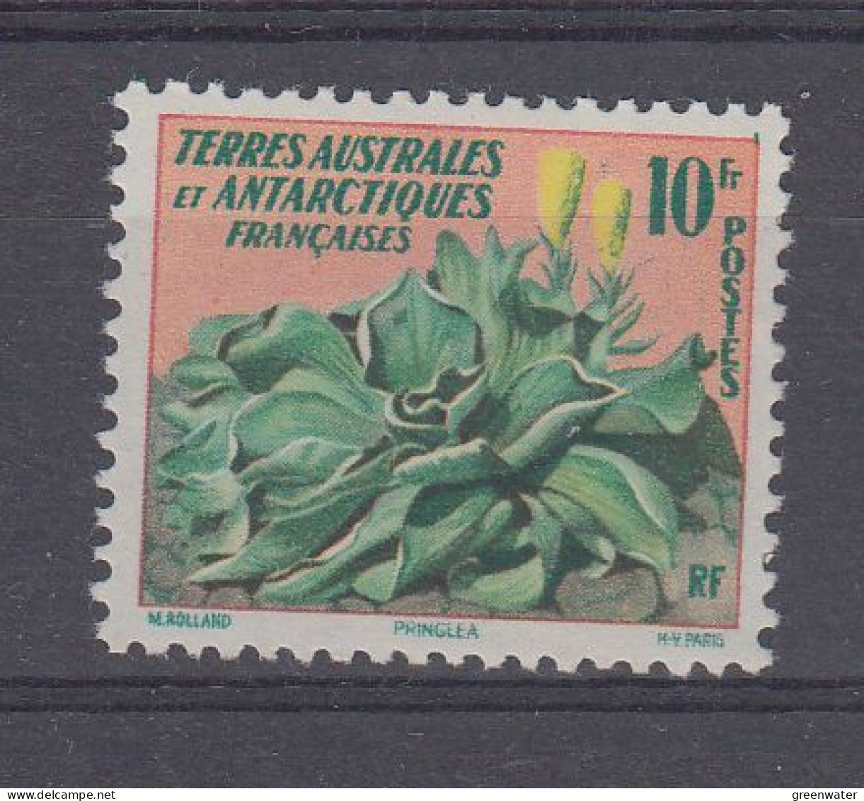 TAAF 1959 Definitive / Kerguelenkohl 1v ** Mnh (BTA) - Neufs