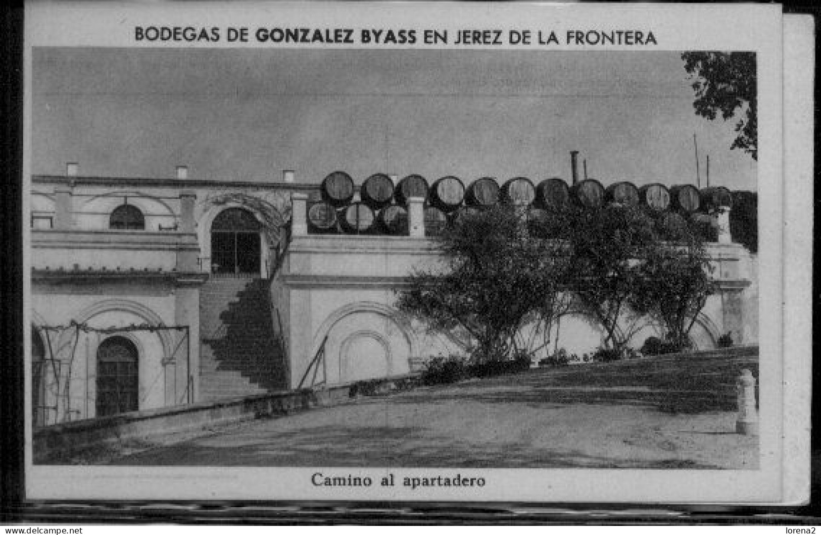 Postal Jerez De La Frontera. Bodegas De Gonzalez Byass. Camino Al Apartadero. 7-1a94 - Jaén