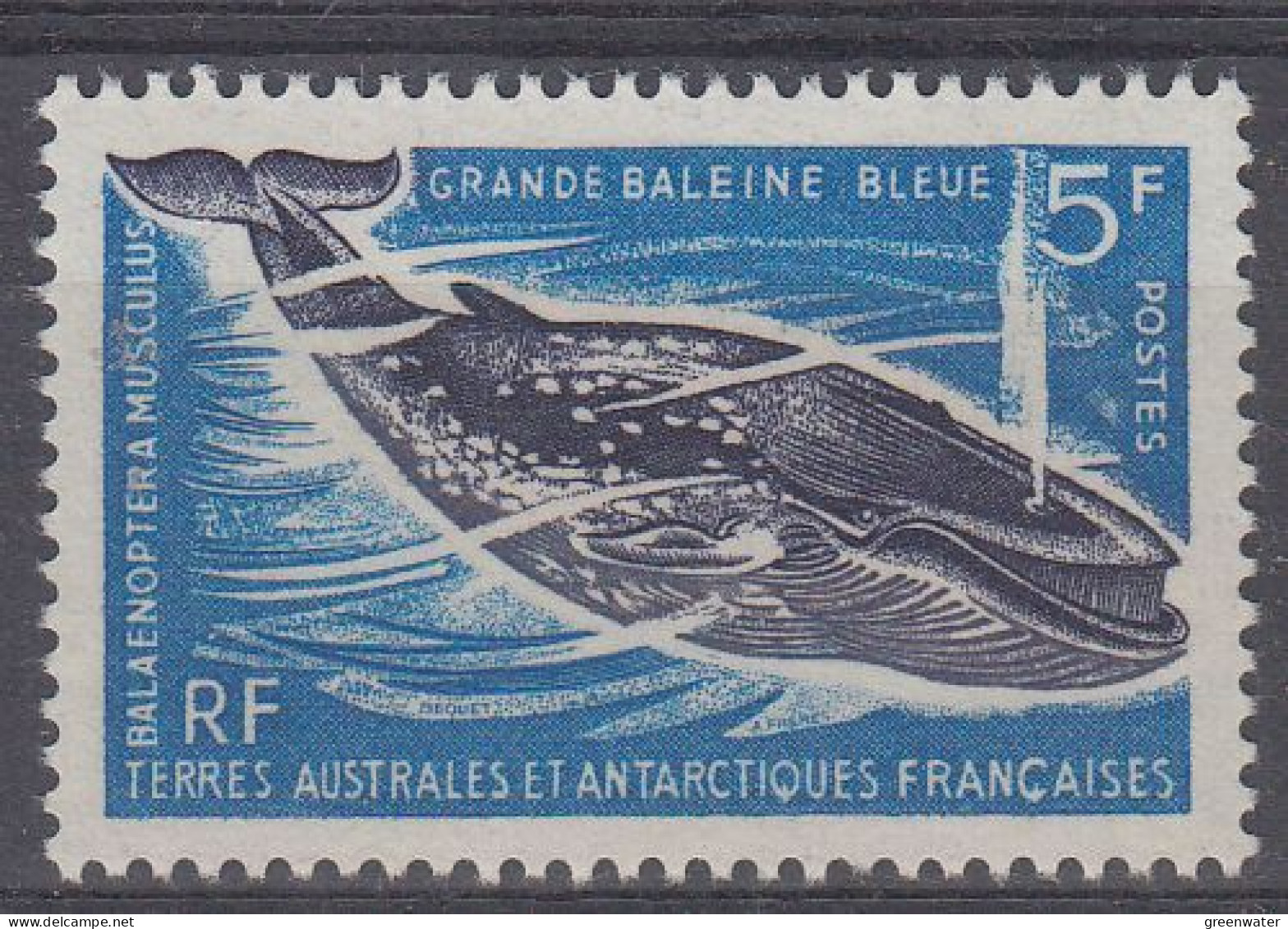 TAAF 1966 Blue Whale 1v ** Mnh (BTA) - Neufs