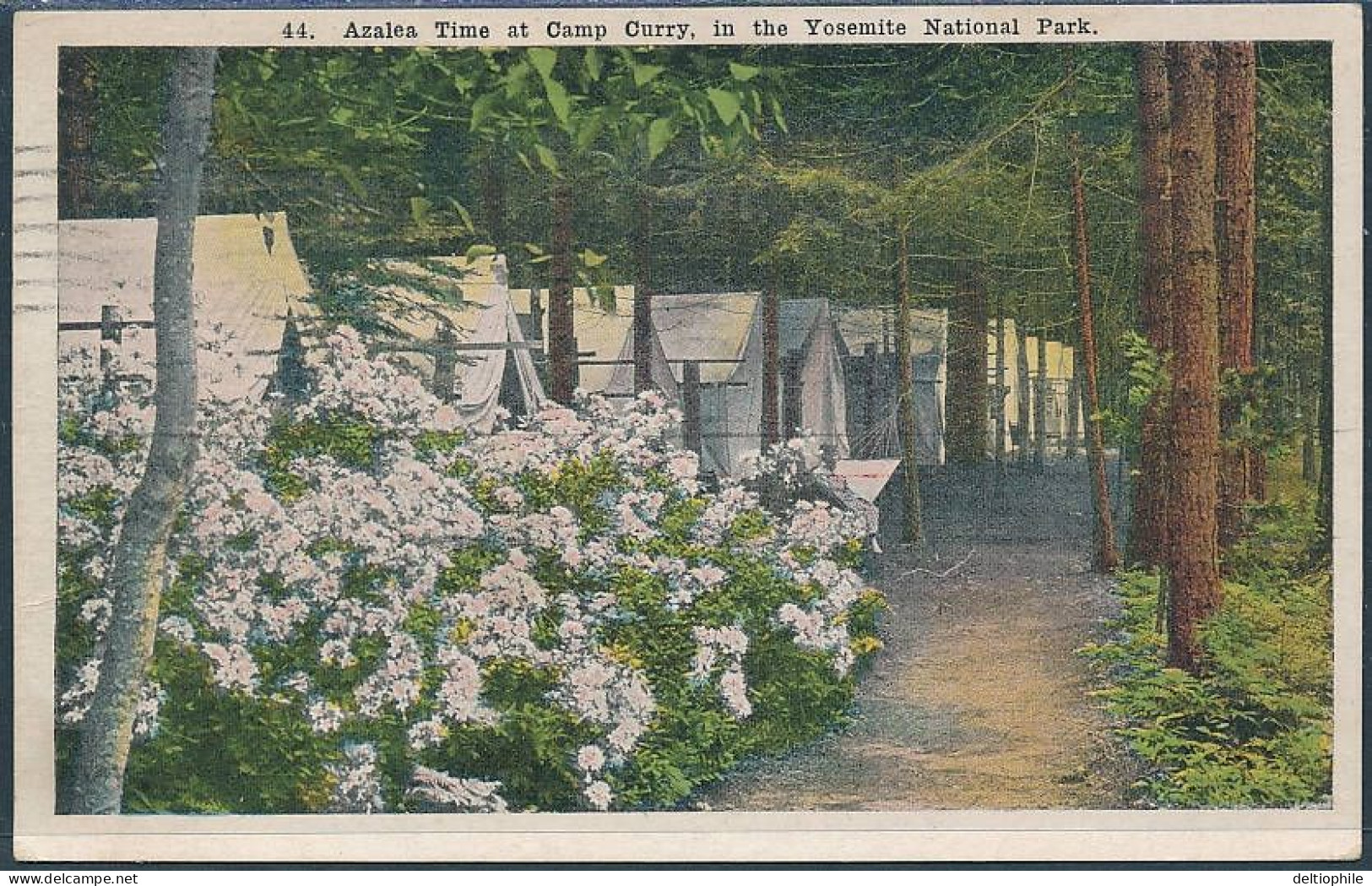 Azalea Time At Camp Curry In The Yosemite National Park - Posted 1927 - Yosemite