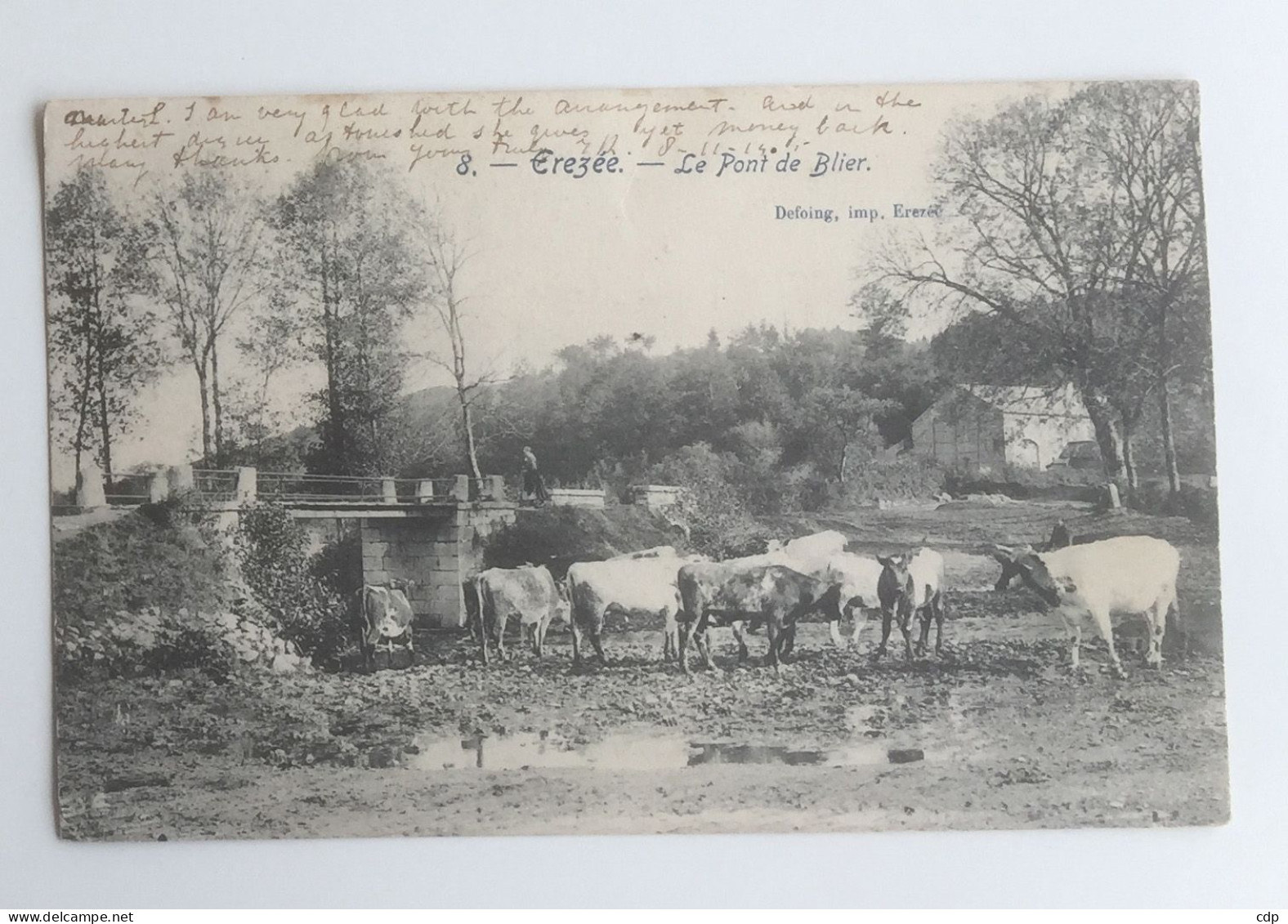 Cpa Erezee  1903   Vaches - Erezee