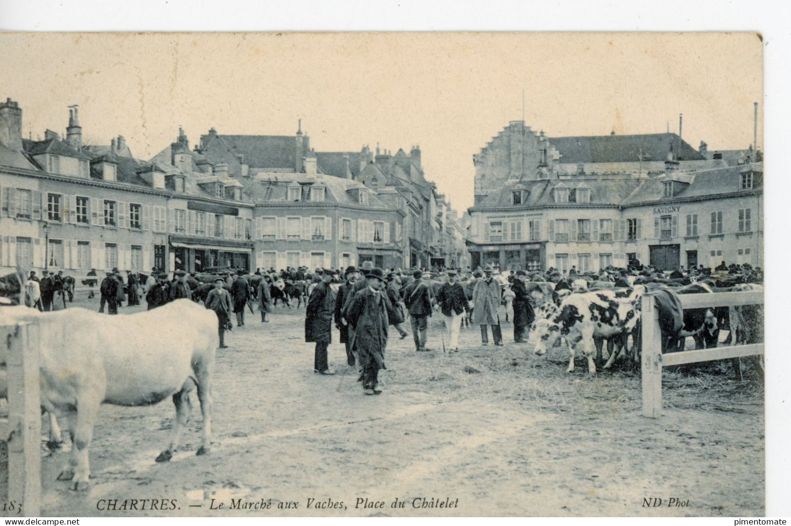 CHARTRES LE MARCHE AUX VACHES PLACE DU CHATELET 1905 - Chartres