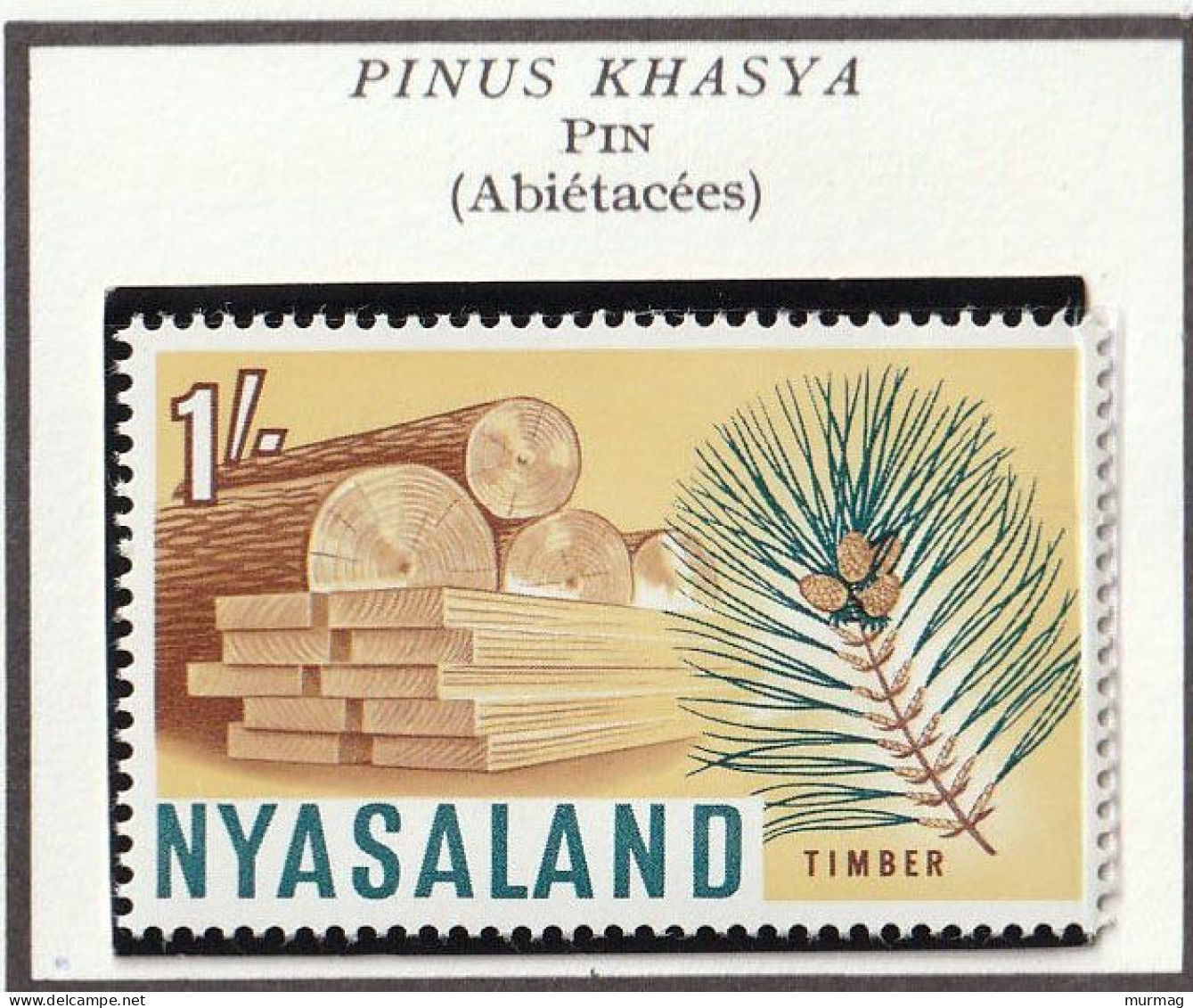 NYASALAND - Thé, Pin, Tabac, Coton, Afzelia Africana - 1953 - MNH - Rhodesia & Nyasaland (1954-1963)