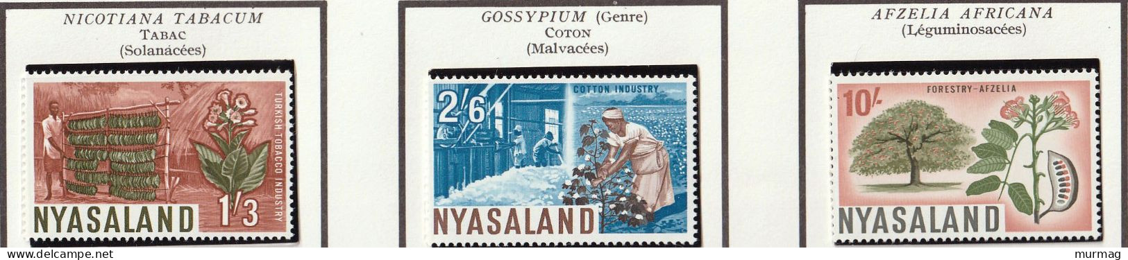 NYASALAND - Thé, Pin, Tabac, Coton, Afzelia Africana - 1953 - MNH - Rhodésie & Nyasaland (1954-1963)