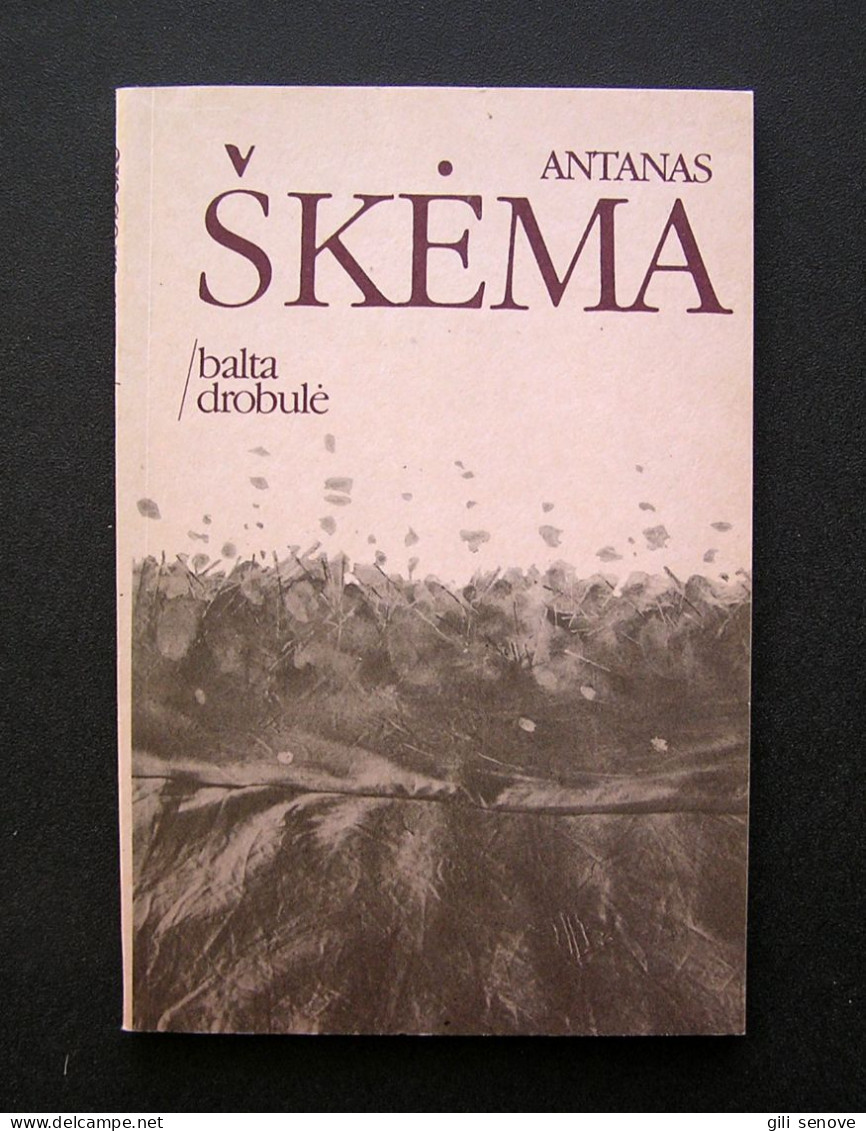 Lithuanian Book / Balta Drobulė Škėma 1990 - Cultura