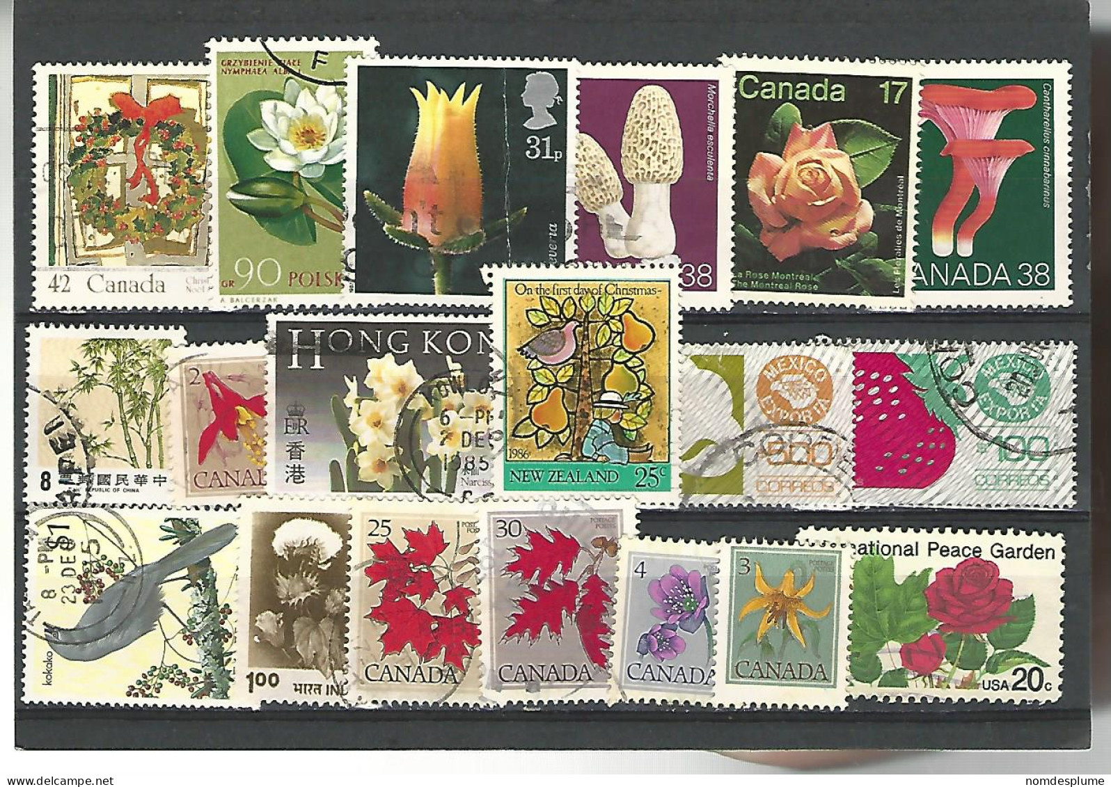 52519 ) Collection World Canada Mexico Hong Kong New Zealand Poland USA - Collections (sans Albums)