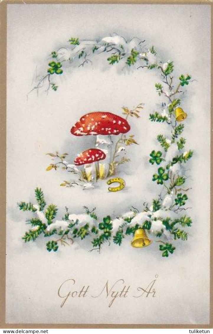 Mushrooms In Winter Lansdscape - Champignon - Paddestoel - Pilz - Fungo - Cogumelo - Seta - Amanita Muscaria - Mushrooms