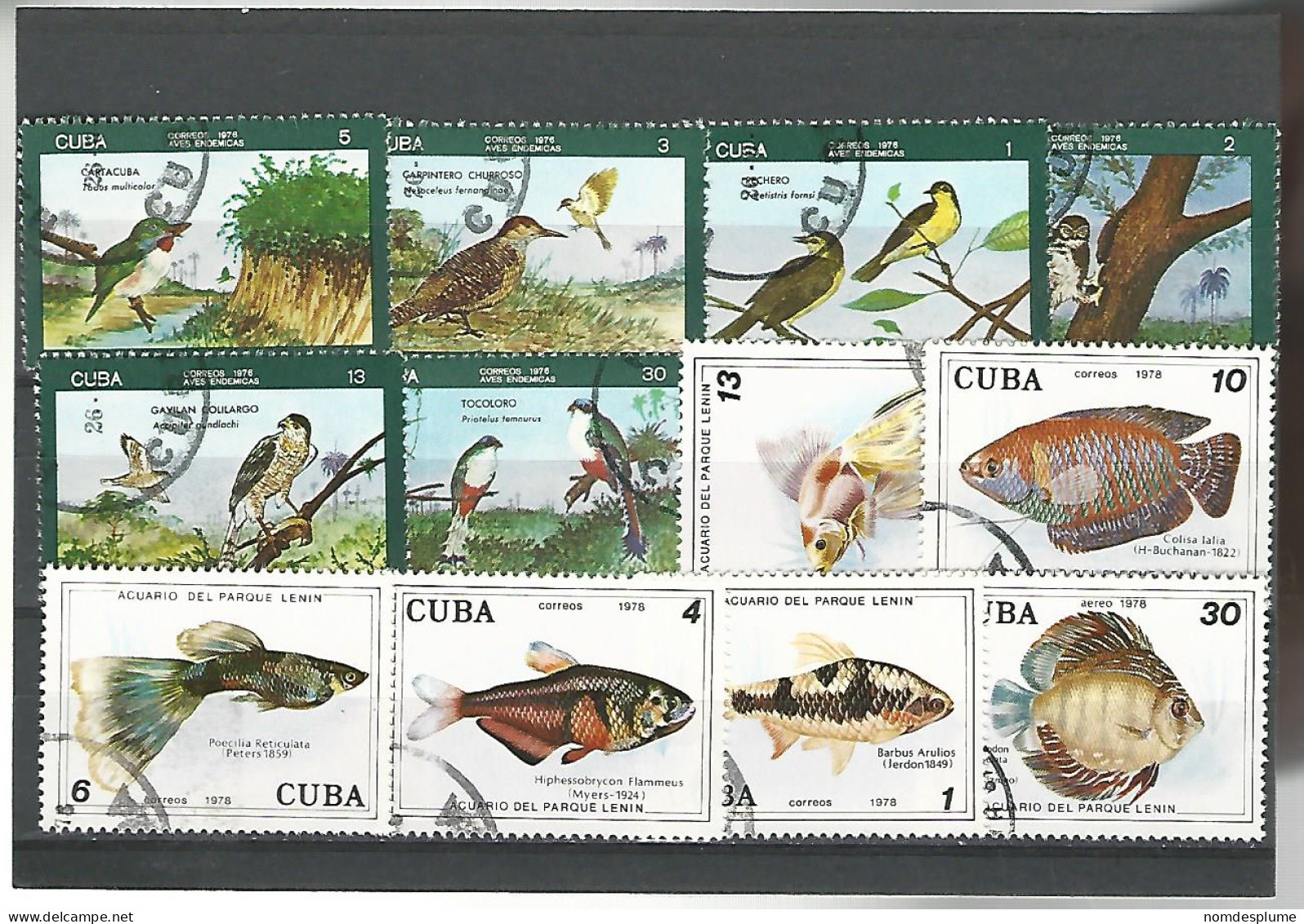 52578 ) Collection Cuba Postmark Birds Fish - Collections, Lots & Series