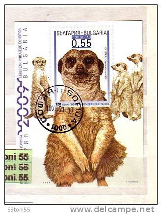 2008 European Phil. Exhibition -2009 (issue I ) Suricata S/S – Imper. (used)   Bulgaria / Bulgarie - Oblitérés