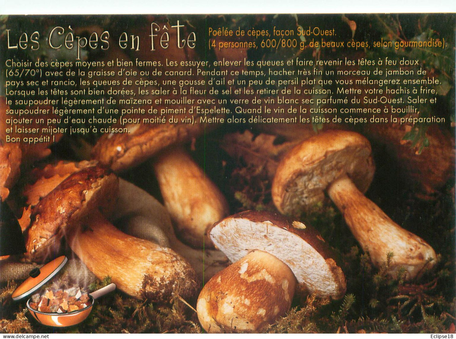 Champignons - Les Cepes En Fete   F 22 - Mushrooms