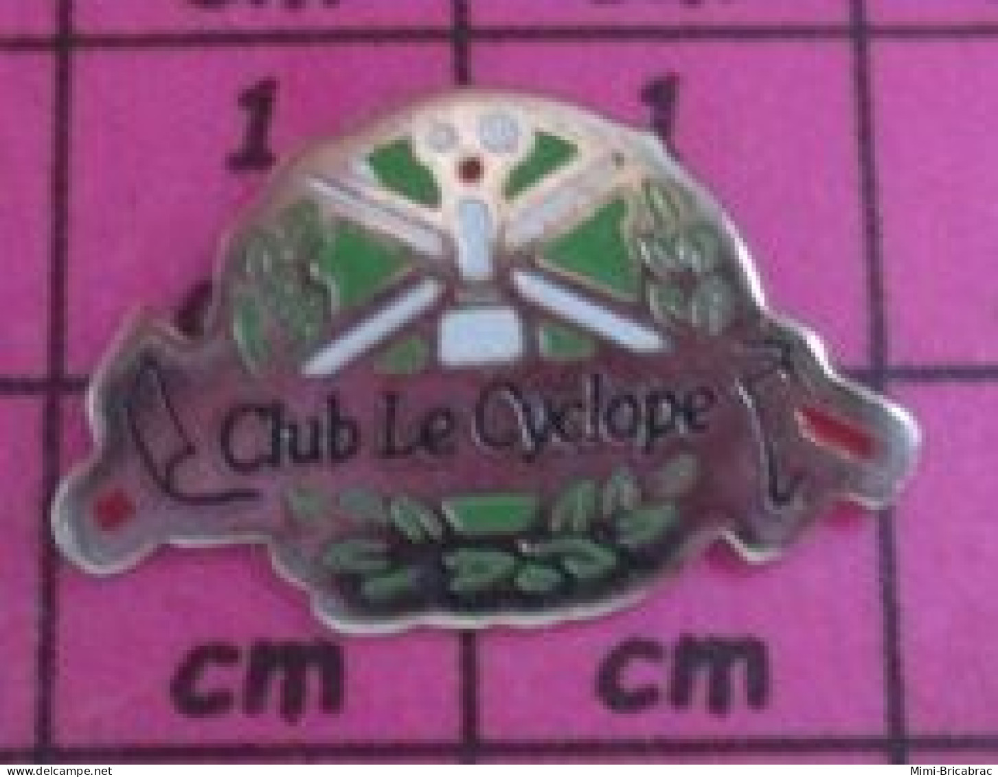 818B Pin's Pins / Beau Et Rare / SPORTS / BILLARD FRANCAIS CLUB LE CYCLOPE - Biliardo