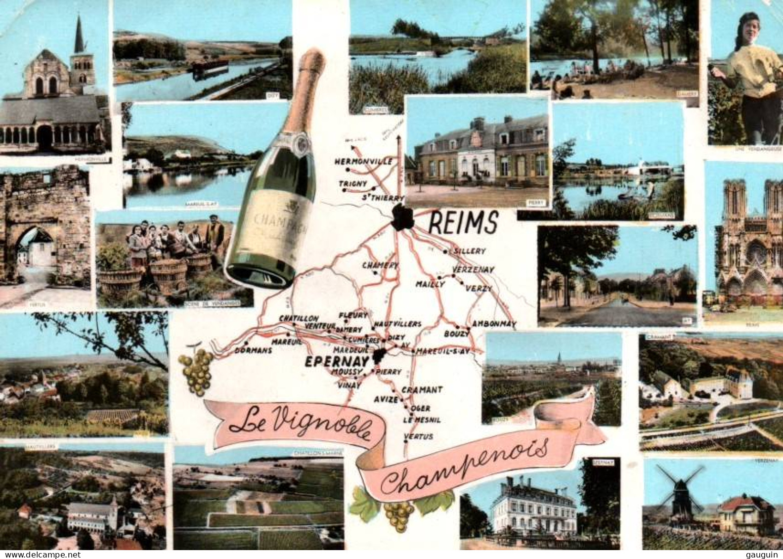 CPSM - Carte GEO.- "Le Vignoble CHAMPENOIS" - Edition Combier - Champagne-Ardenne