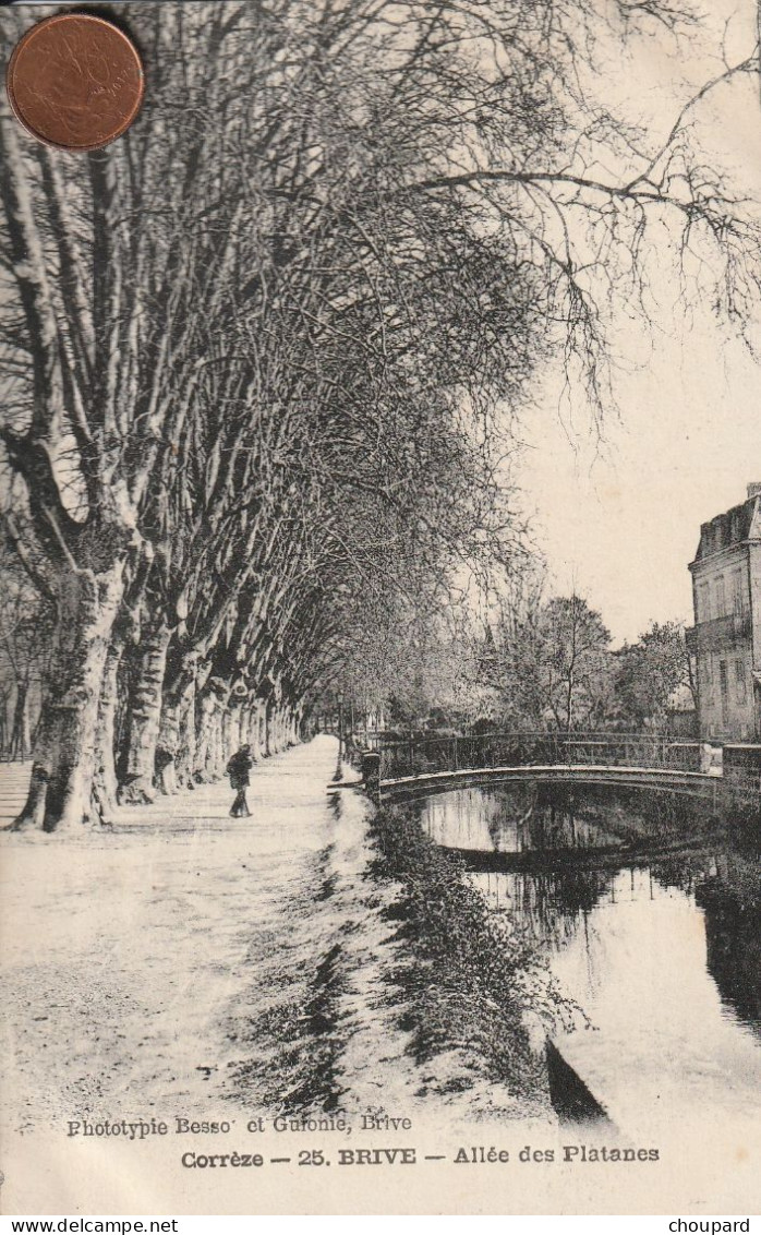 19 - Carte Postale Ancienne De  BRIVE    Allée Des Platanes - Brive La Gaillarde