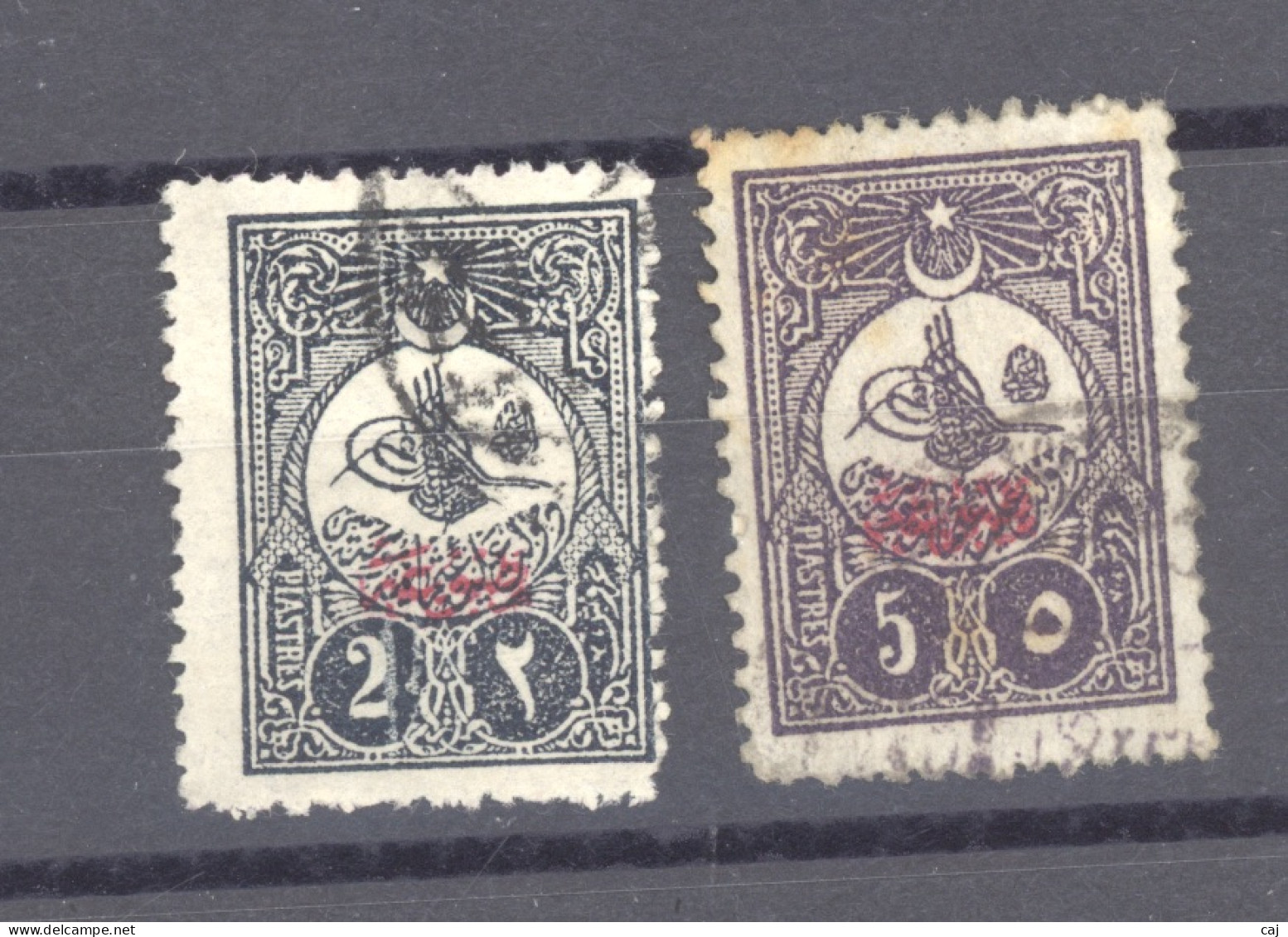 Turquie  -  Journaux  :   Yv  39-40  (o) - Newspaper Stamps