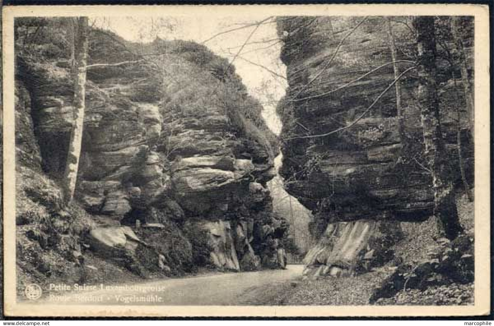 LUXEMBOURG / CARTE POSTALE ROUTE BERDORF (ref CP832) - Berdorf