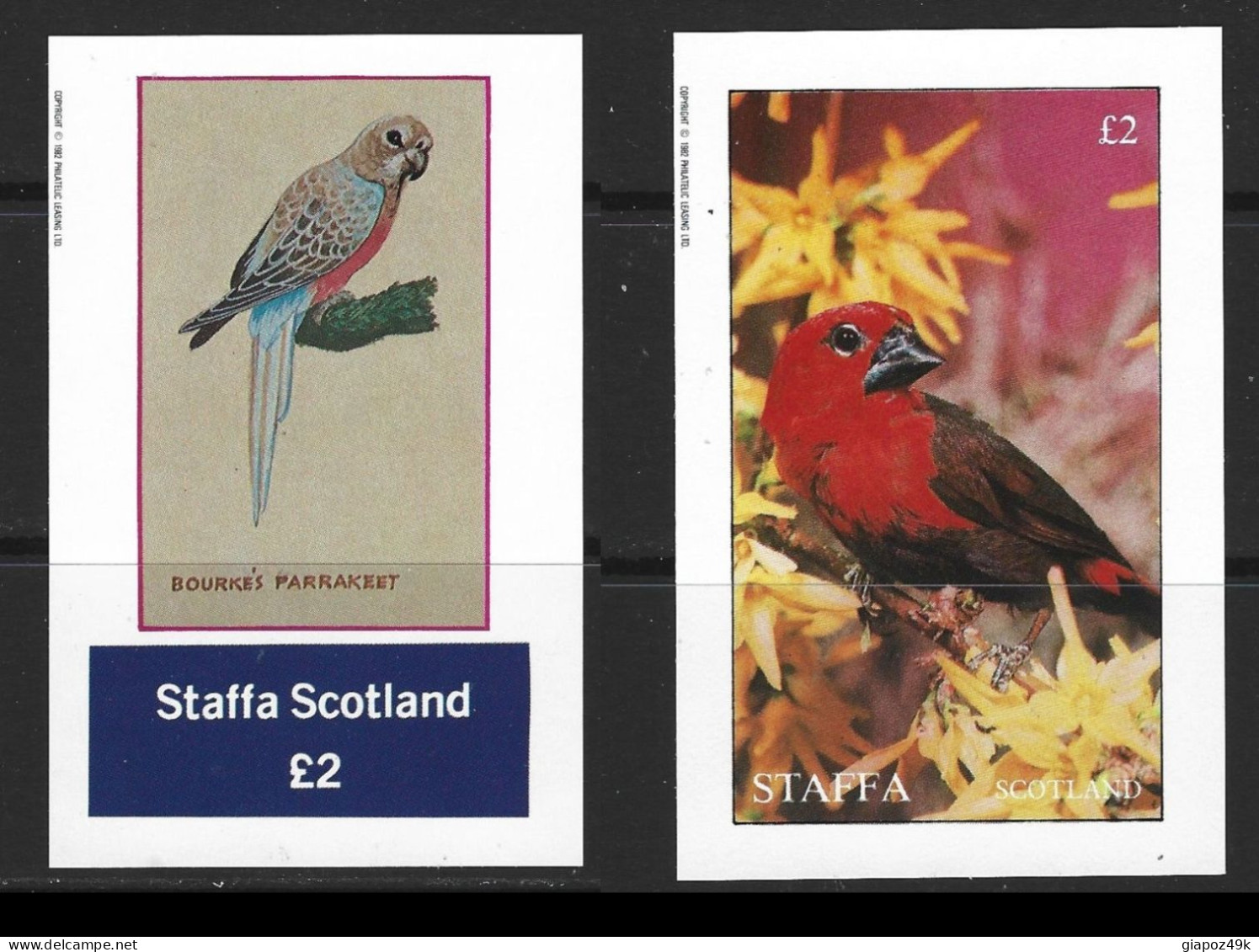 ● STAFFA Scotland 1982 ֍ ️PAPPAGALLO ● Parot ● 2 BF Diversi ● NON Dentellato ● £ 2 ● Lotto N.XX ● - Scotland