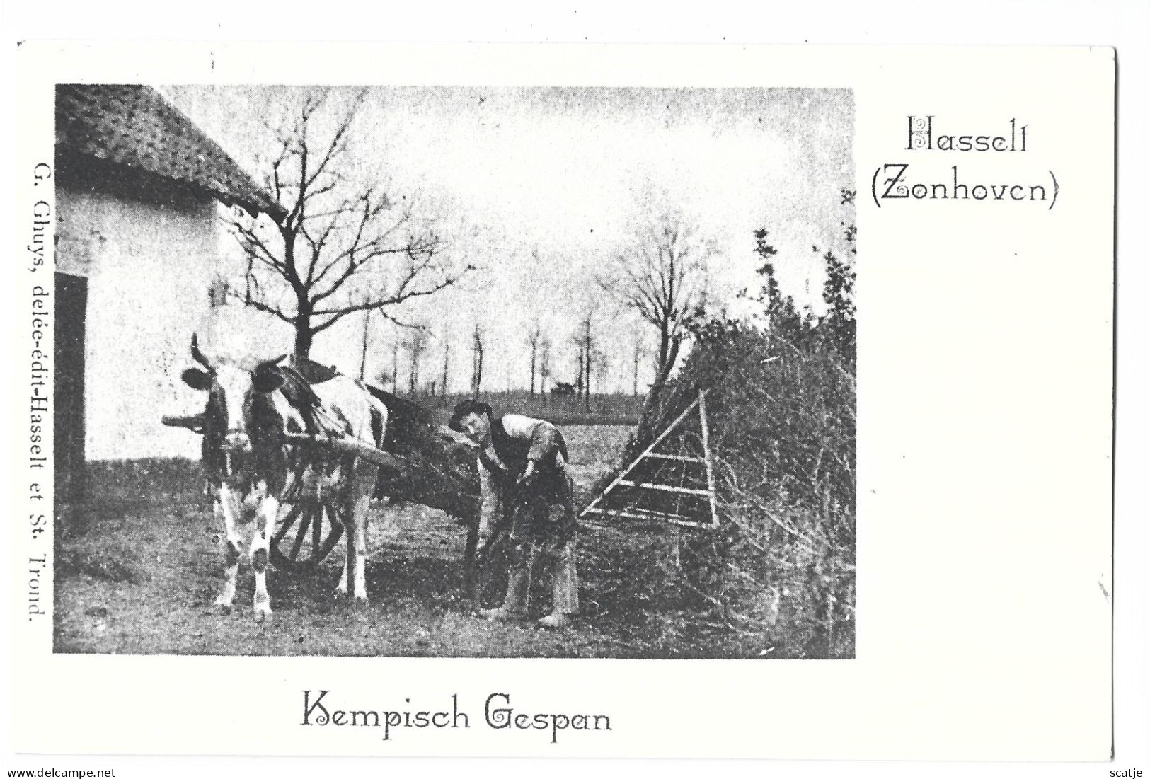 Zonhoven.   -   Kempisch Gespan   -   REPRO-CH  -  Postkaart! - Zonhoven