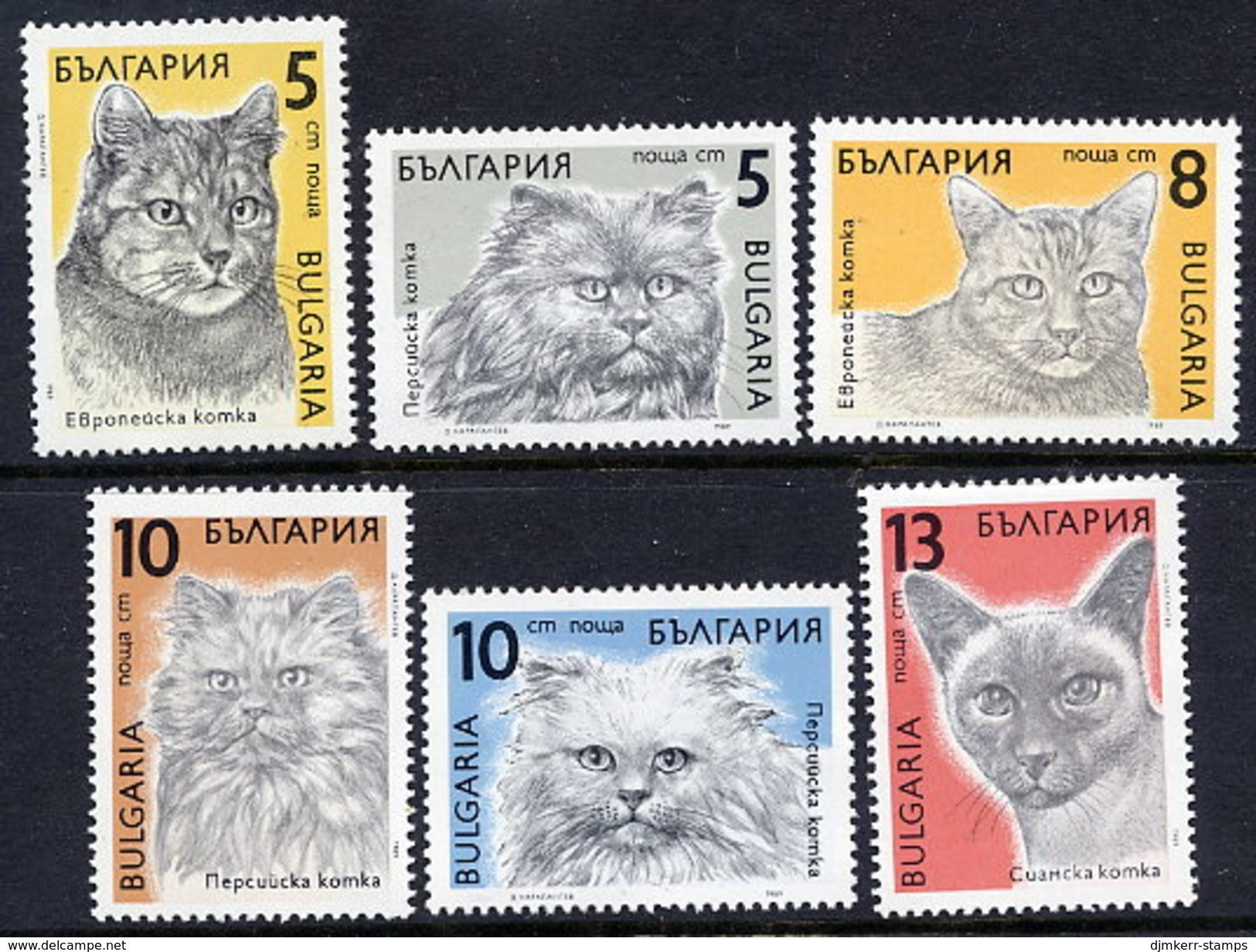 BULGARIA 1989 Cats MNH / **.  Michel 3808-13 - Ongebruikt