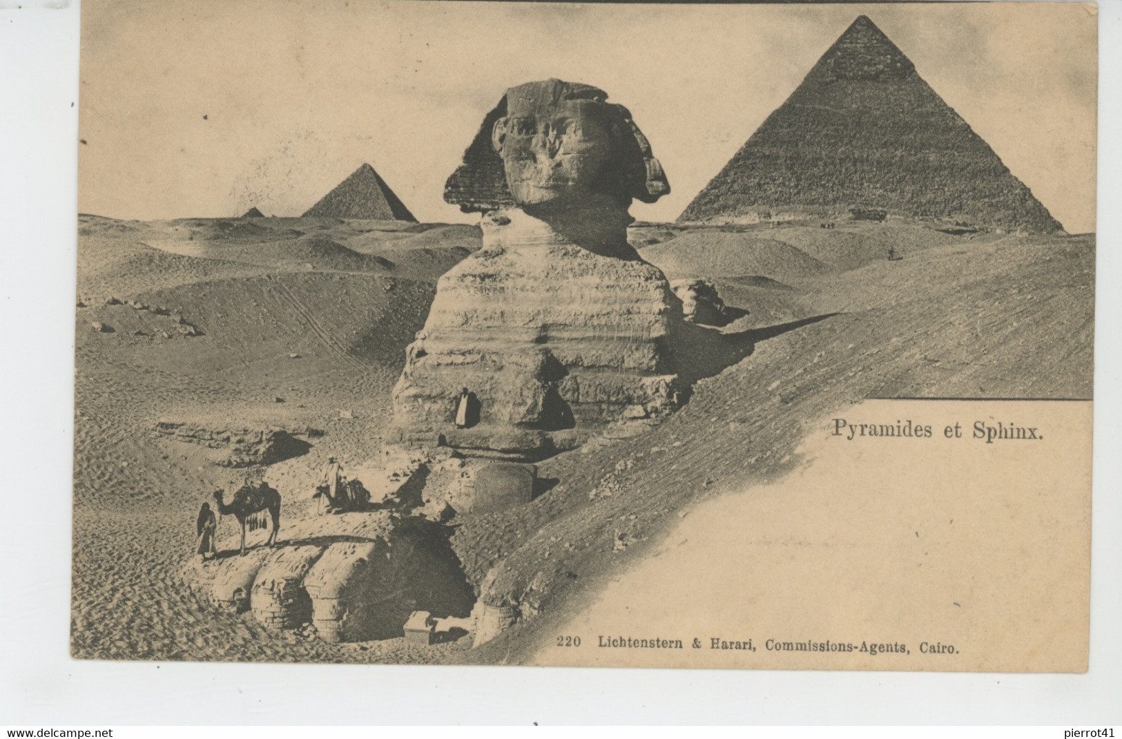 AFRIQUE - EGYPTE - CAIRO - Pyramides Et Sphinx - Sphinx