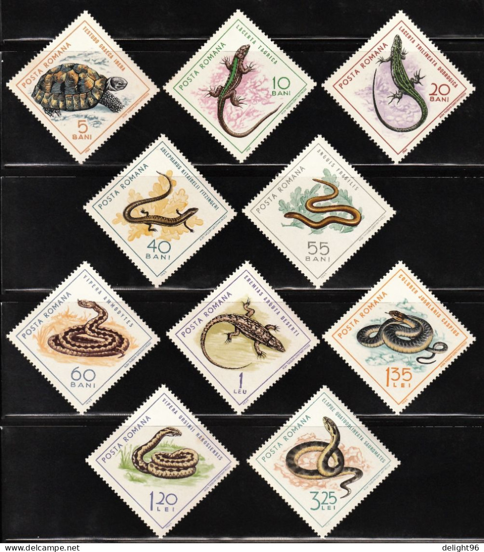 1965 Romania Reptiles Set (** / MNH / UMM) - Serpents