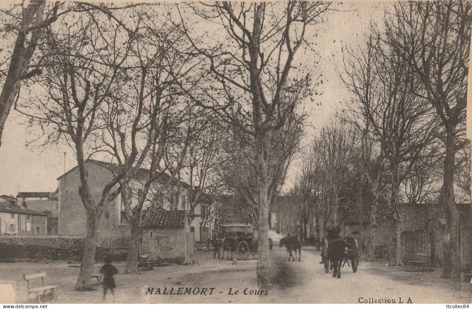 CPA-13-MALLEMORT-Le Cours-Animée - Mallemort