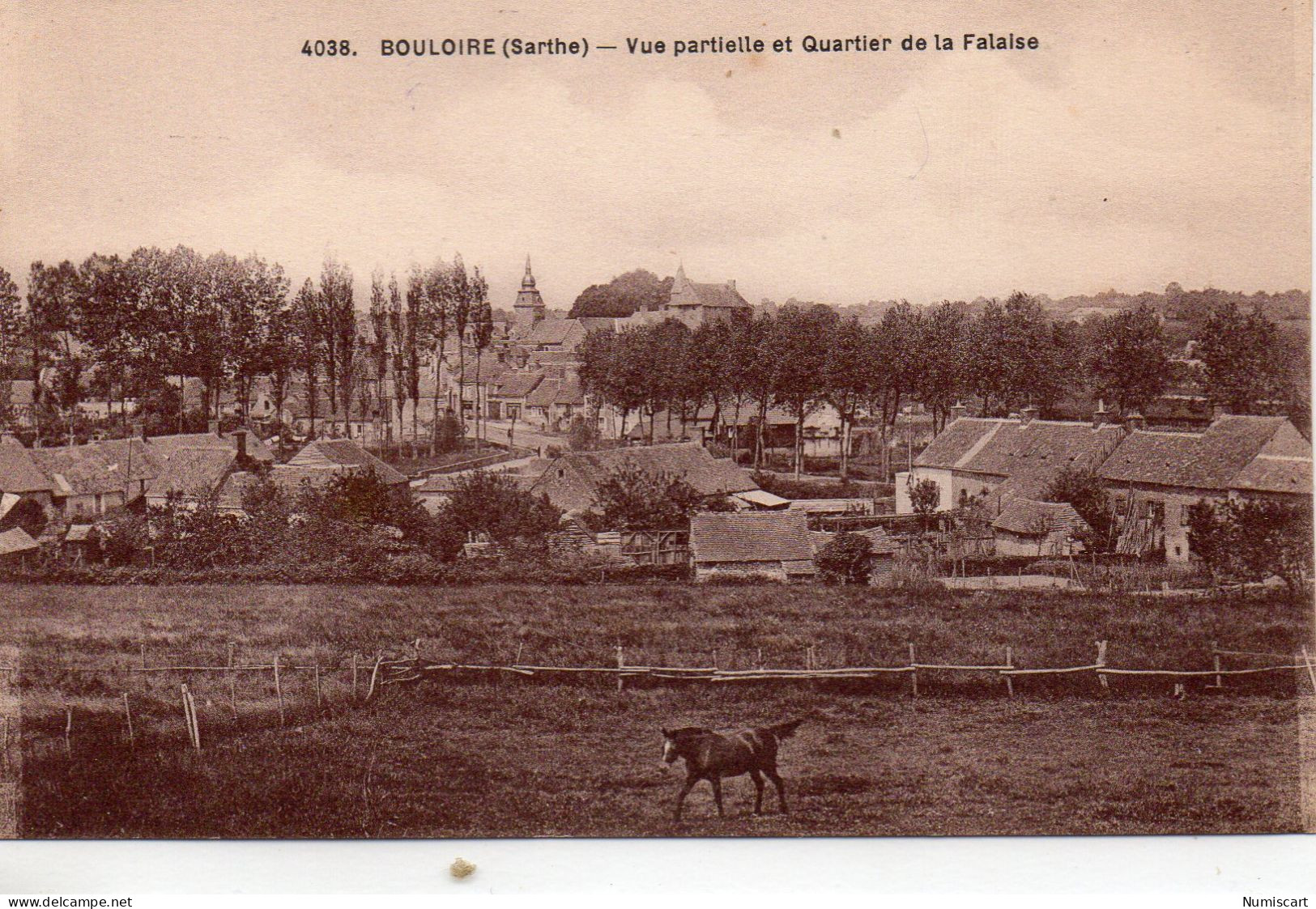 Bouloire Quartier De La Falaise Cheval - Bouloire