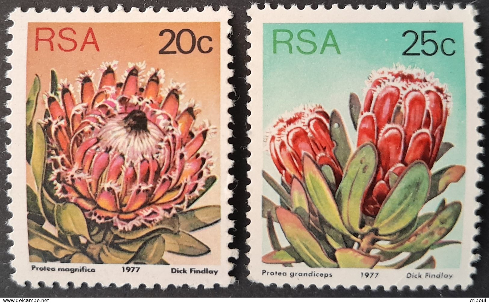 Afrique Du Sud RSA 1977 Fleur Flower Yvert 427 428 ** MNH - Nuevos