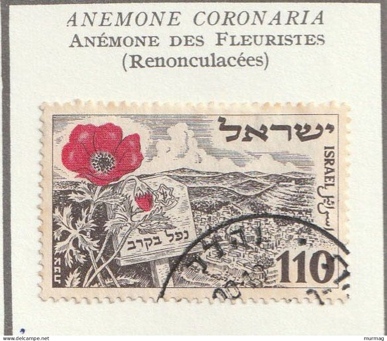 ISRAEL - Fleurs, Flowers, Chardon, Bleuet, Anémone, 4e Anniversaire De L'Etat - Y&T N° 54/56 - 1952 - Oblitérés - Used Stamps (without Tabs)