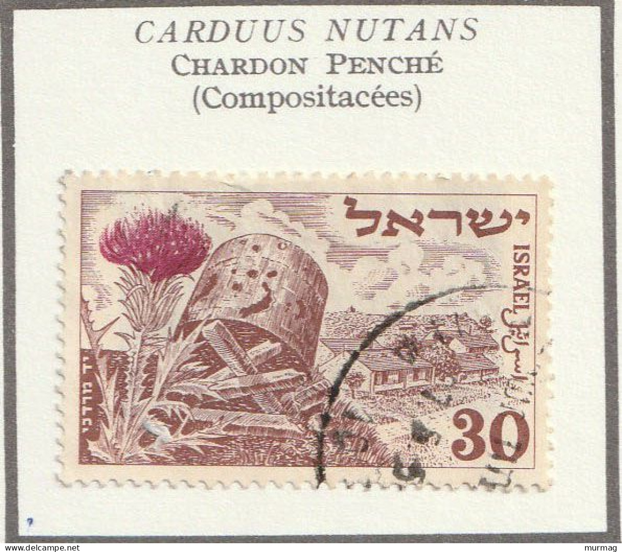 ISRAEL - Fleurs, Flowers, Chardon, Bleuet, Anémone, 4e Anniversaire De L'Etat - Y&T N° 54/56 - 1952 - Oblitérés - Used Stamps (without Tabs)