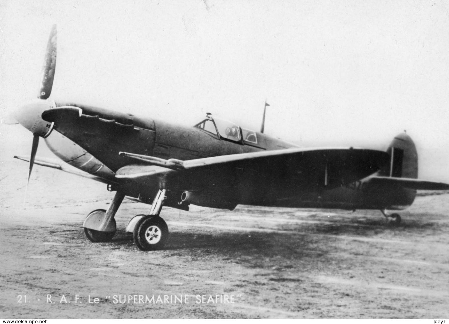 Cpsm RAF Supermarine Seafire - 1939-1945: 2ème Guerre