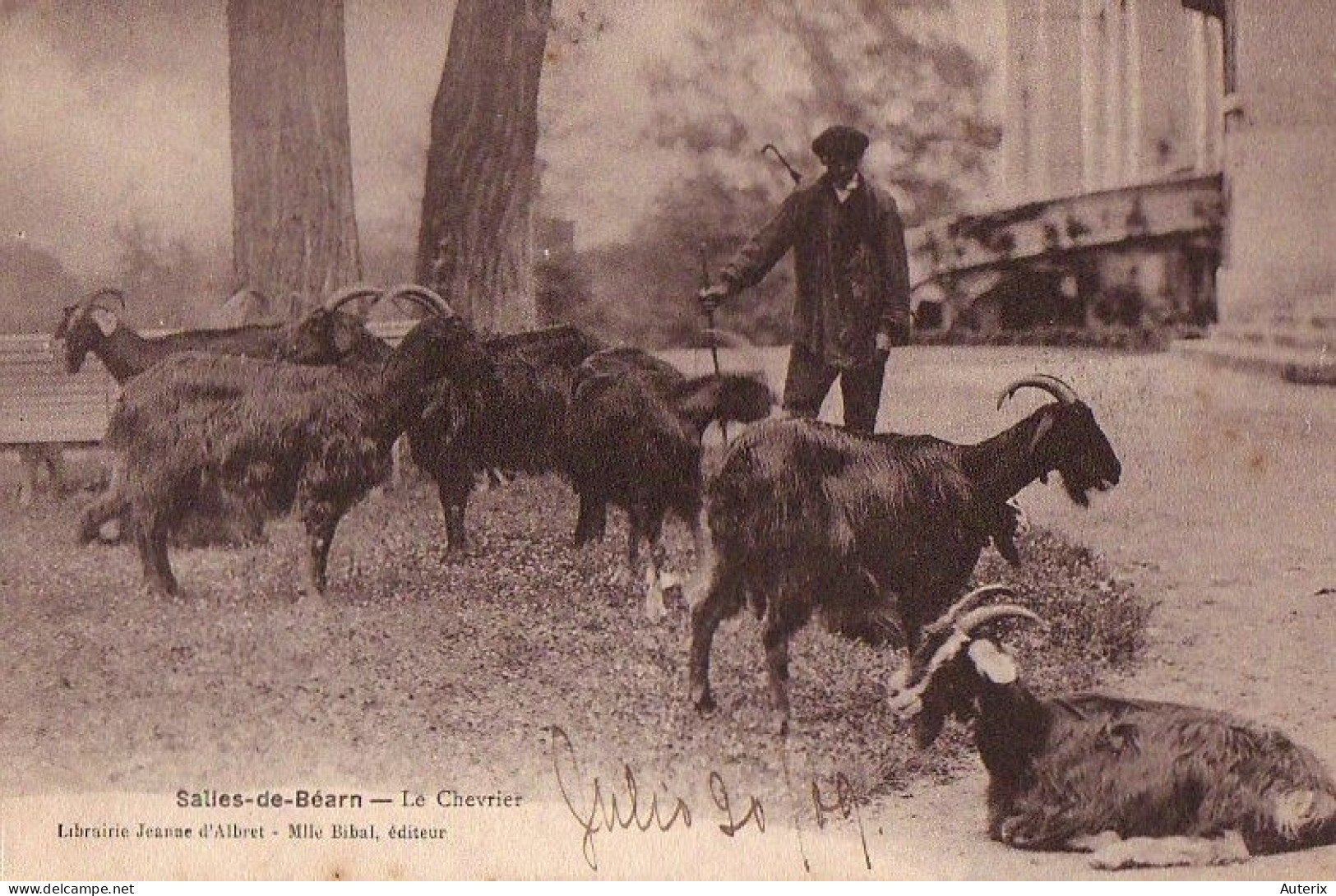 64 Salies-de-Bearn - Le Chevrier Chevre Goat - Salies De Bearn