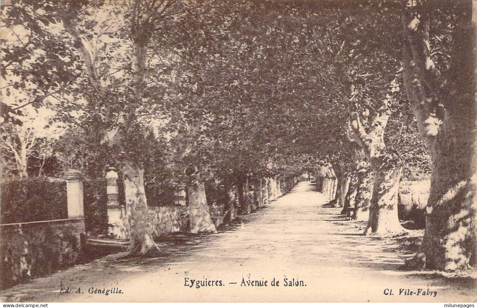 13 Bouches Du Rhône Les Platanes De L'avenue De Salon à Eyguières - Eyguieres