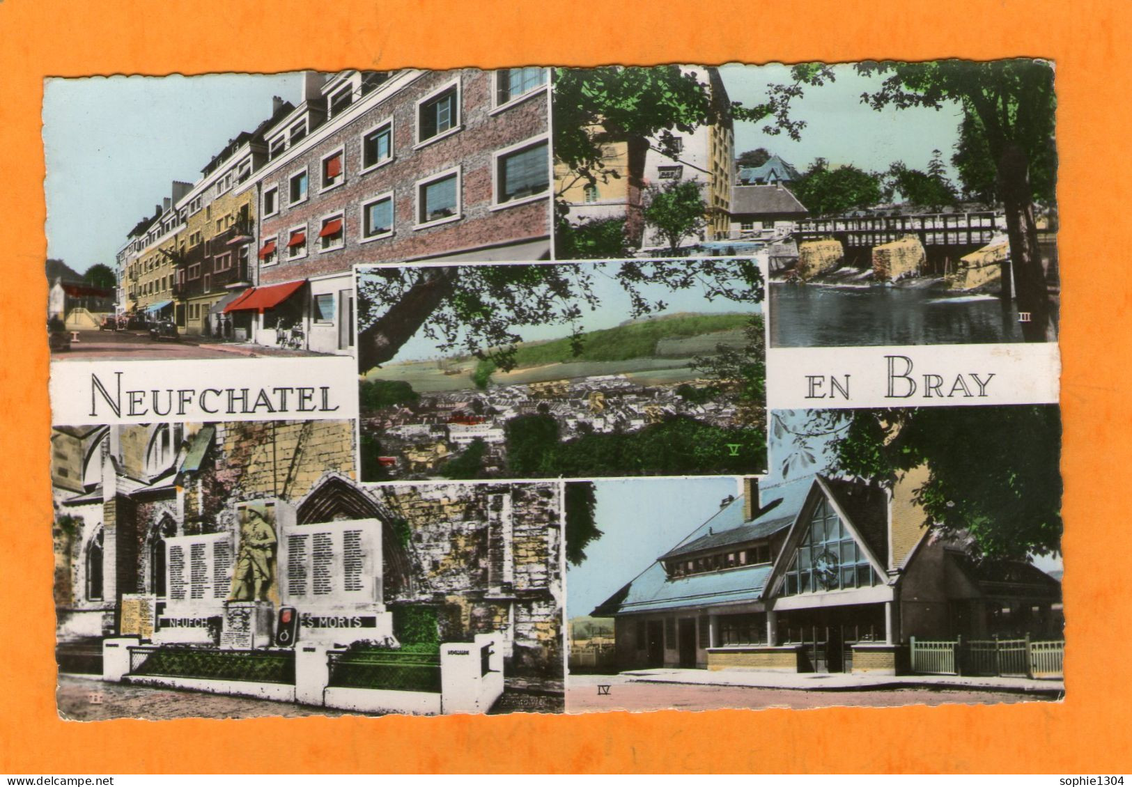 NEUFCHATEL EN BRAY - Multi-Vues - - Neufchâtel En Bray