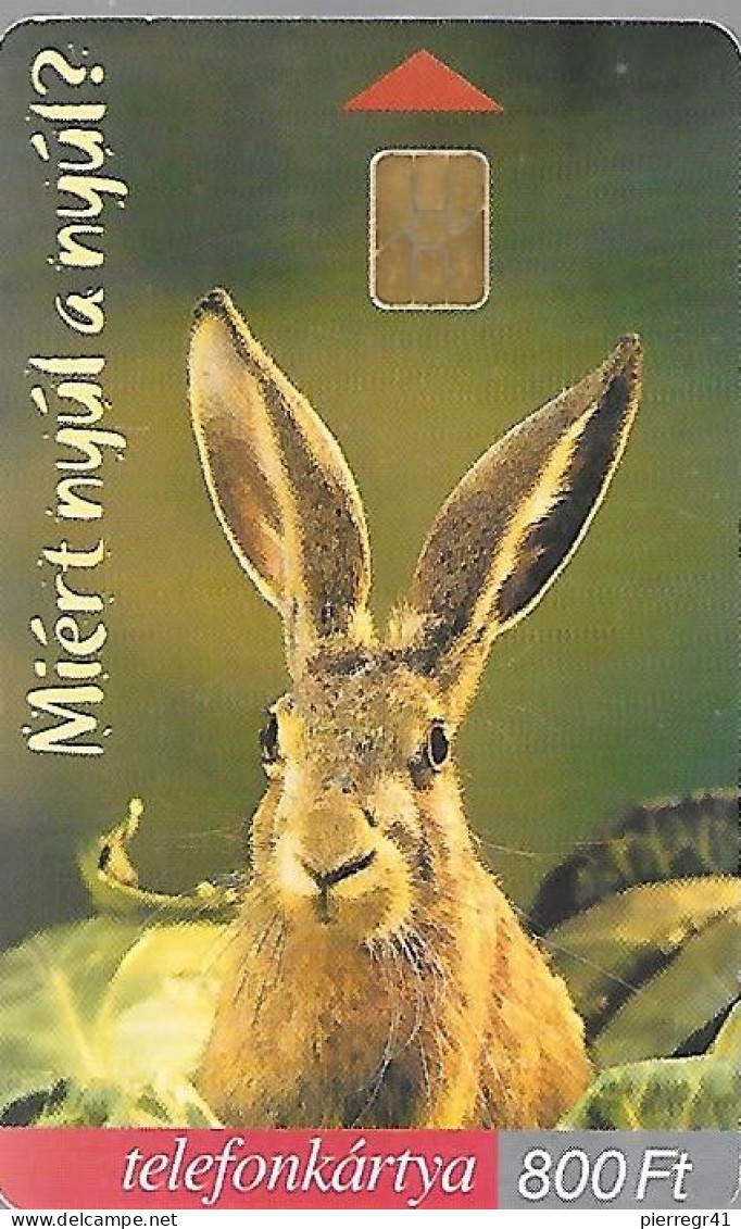 CARTE-PUCE-2000-HONGRIE-LAPIN--TBE - Conejos