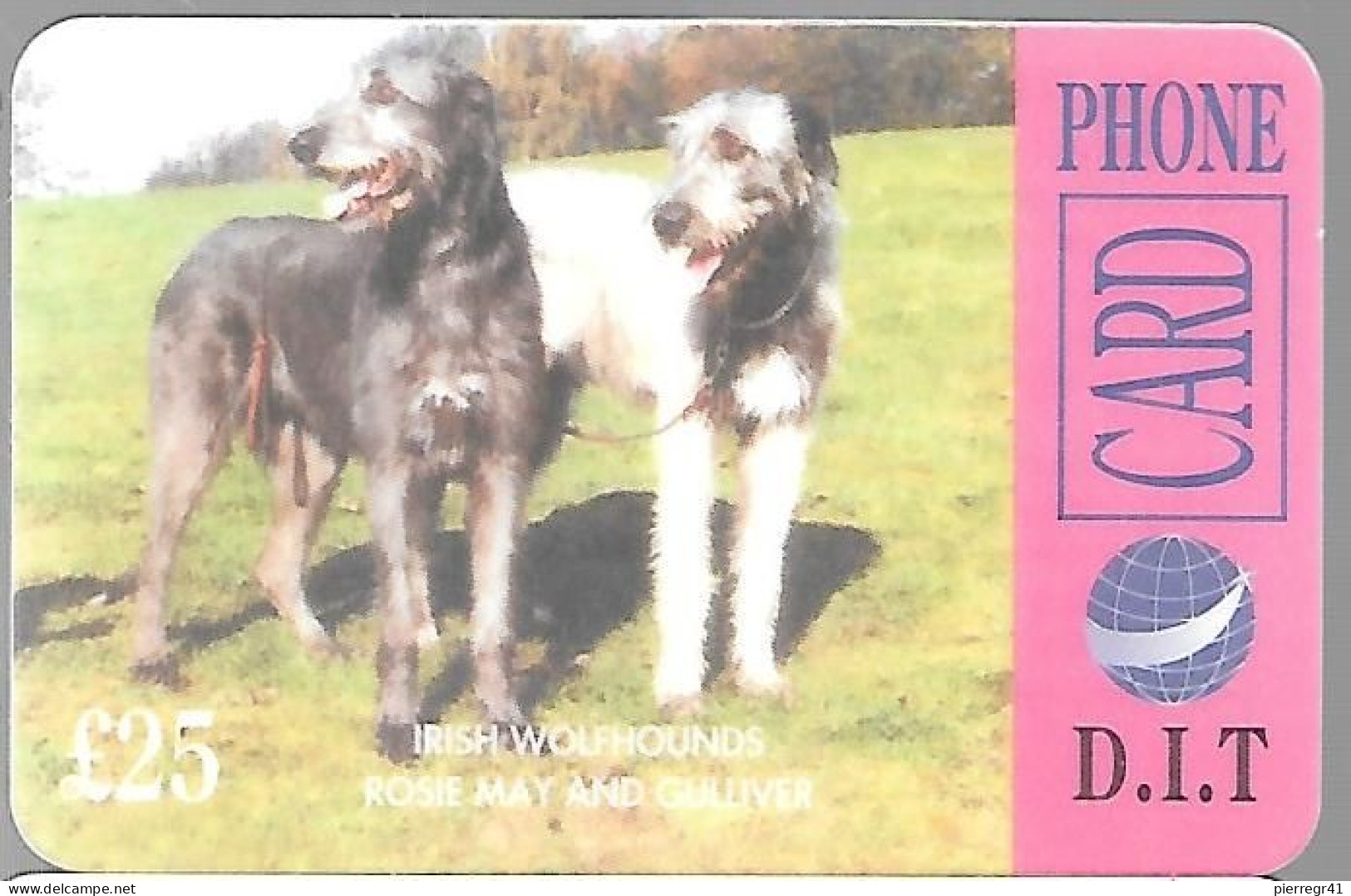 CARTE-PREPAYEE-GB-D.I.T-25£-CHIENS WOLFHOUDS IRLANDAIS-Plastic Epais-R° Glacé--TBE - Hunde