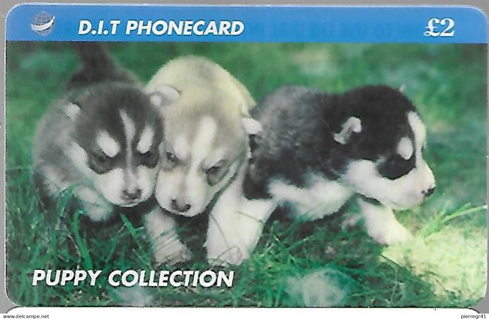 CARTE-PREPAYEE-1997-GB-D.I.T-2£-CHIOTS/PUPPY Collection-Plastic Epais-R° Glacé--TBE - Dogs