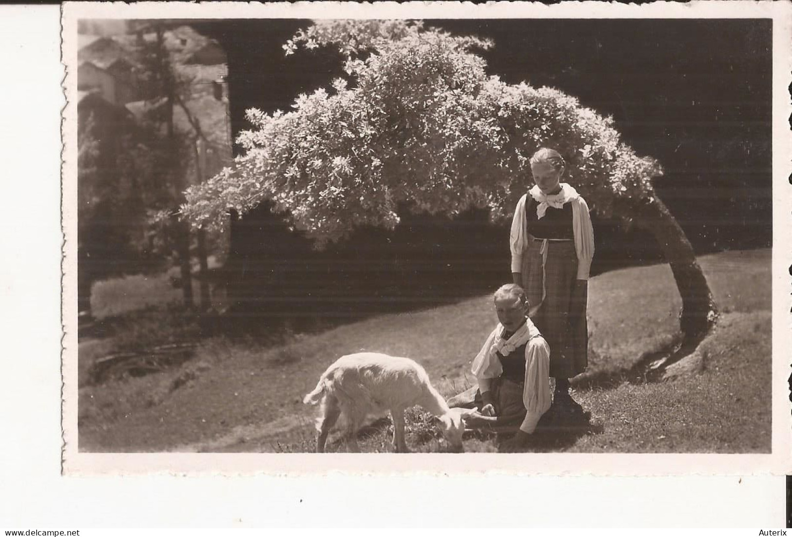 Suisse Valais Montana Vermala Costumes Du Pays Ziege Chevre Goat - Sonstige & Ohne Zuordnung